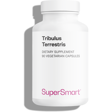 Complément alimentaire Tribulus Terrestris, 40% de saponines