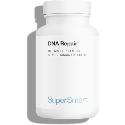 DNA Repair