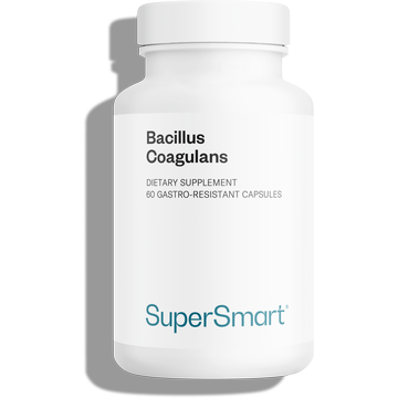 Probiotique Bacillus coagulans