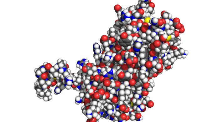 Excès de prolactine