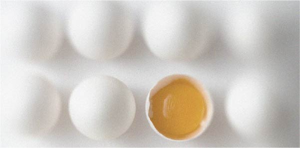 Tout ce qu’il faut savoir sur la vitamine B2